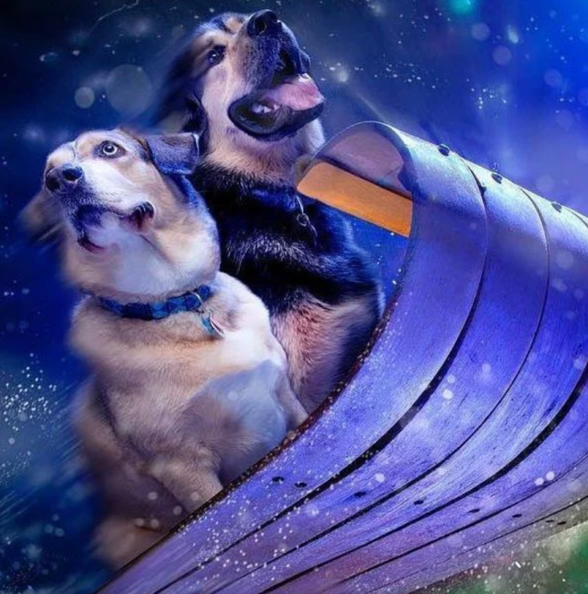 KMA Holiday Party and Awards Night